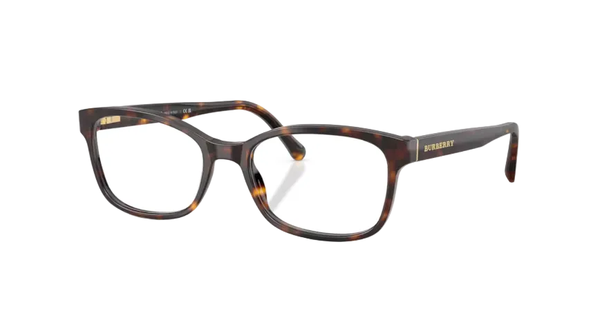 BURBERRY- 0BE2201 3002