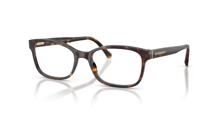 BURBERRY- 0BE2201 3002