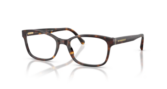 BURBERRY- 0BE2201 3002