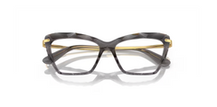 DOLCE& GABBANA-0DG5025 504