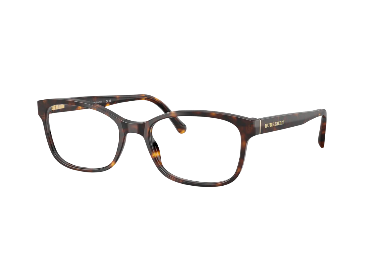 BURBERRY- 0BE2201